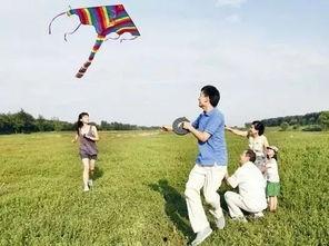 娱乐吃瓜酱风筝,揭秘娱乐圈背后的那些事儿